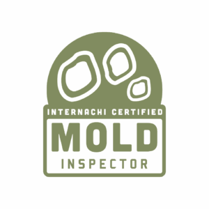 mold-02
